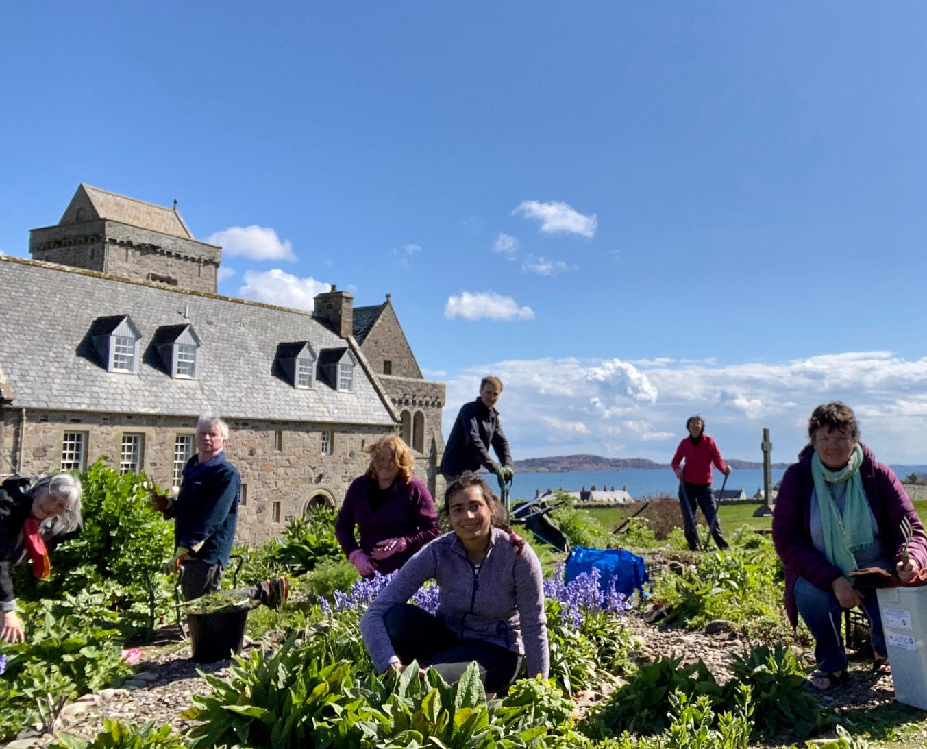 A group of people gardening in front of Iona Abbey.