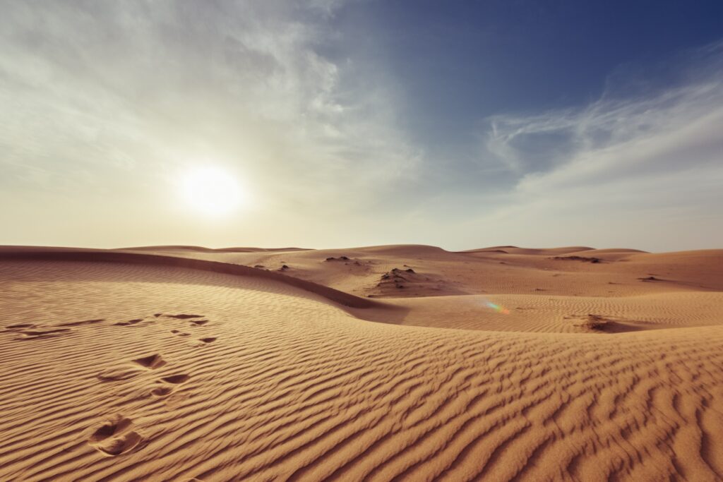 A desert scene by Giorgio Parravicini-unsplash
