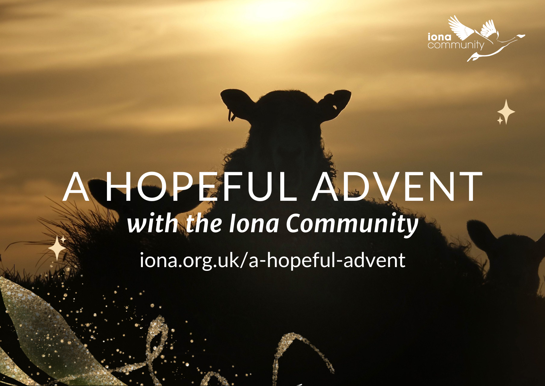 Details of all our Advent events are now available! Join with us this Advent as we choose to wait together with hope. Take your pick from a wide variety of events and activities available. Registration for all events will open soon.