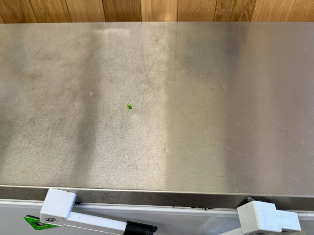 A small pea on a steel freezer surface