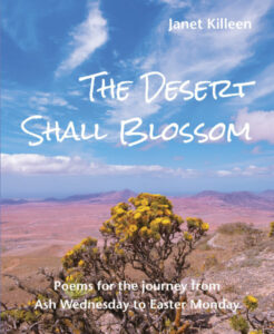 yellow flowers set against a desert background of blue and pink