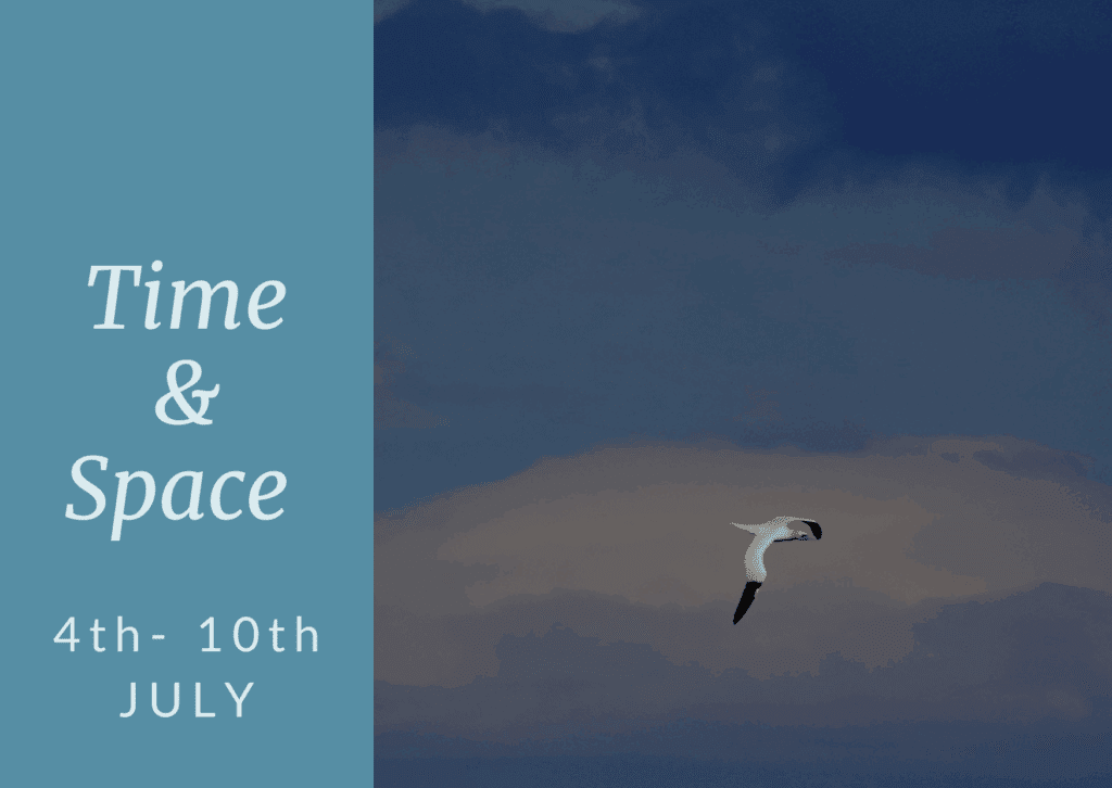 Seagul flying with cloud and sky in background. Time and Space on Iona.