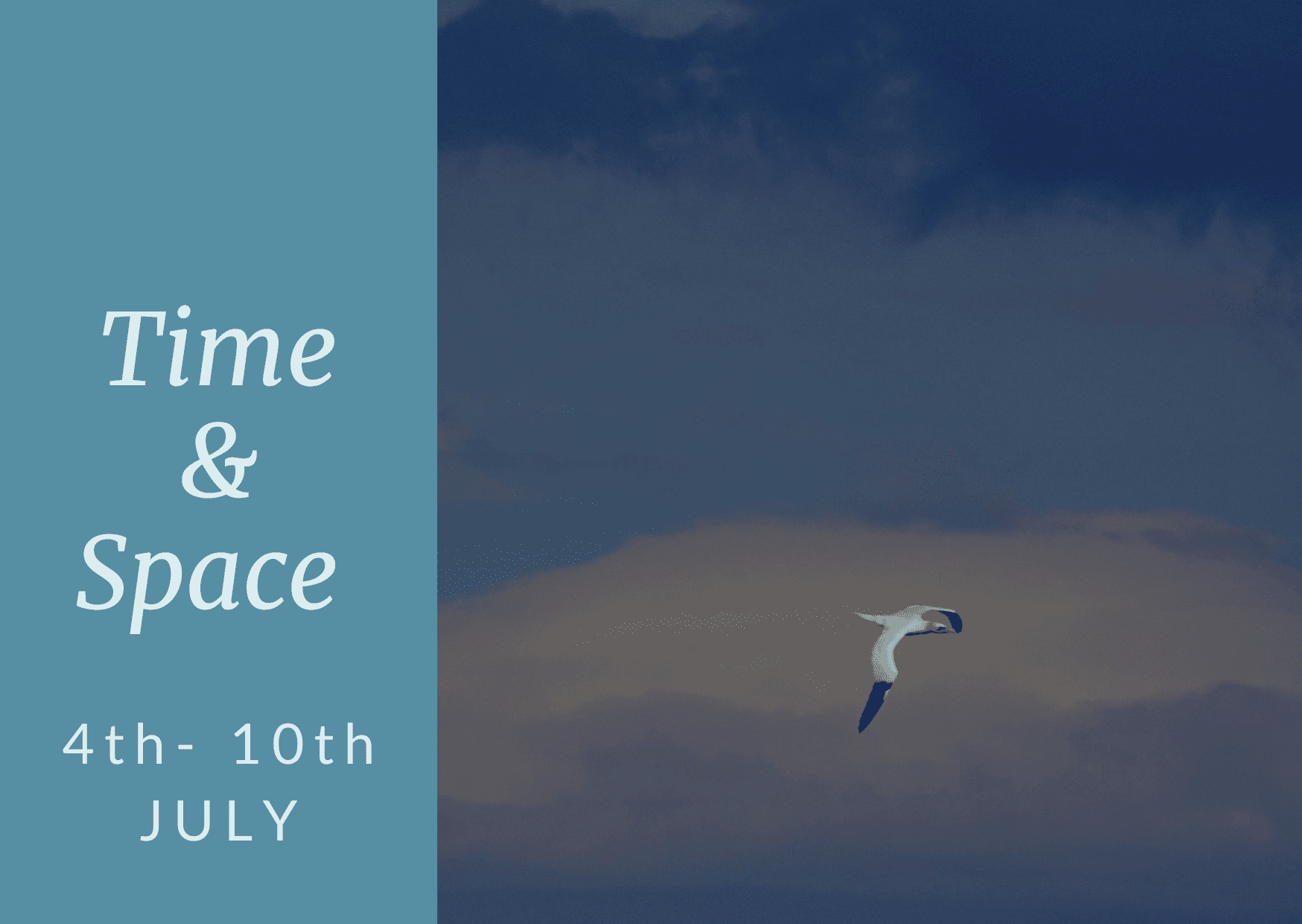 Seagul flying with cloud and sky in background. Time and Space on Iona.