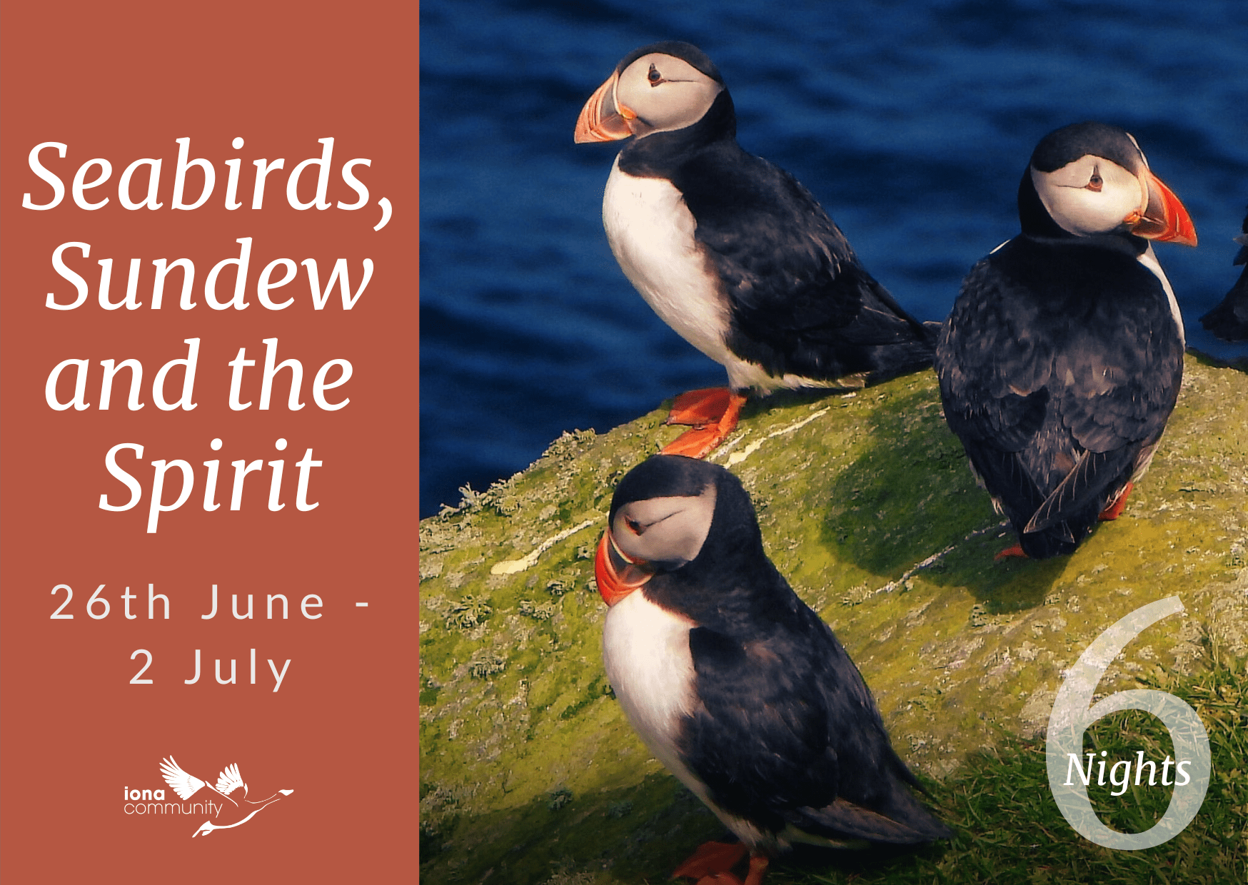 Seabirds, Sundew and the Spirit 2027