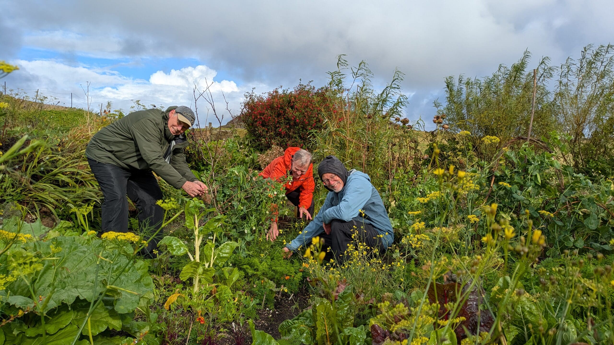 Joint Island Centre Gardener, Terry Over, reflects on cultivating abundance without depletion.