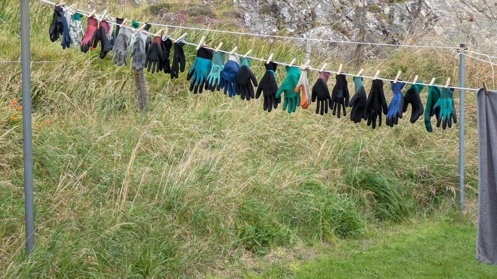 Gloves hanging on a washing line