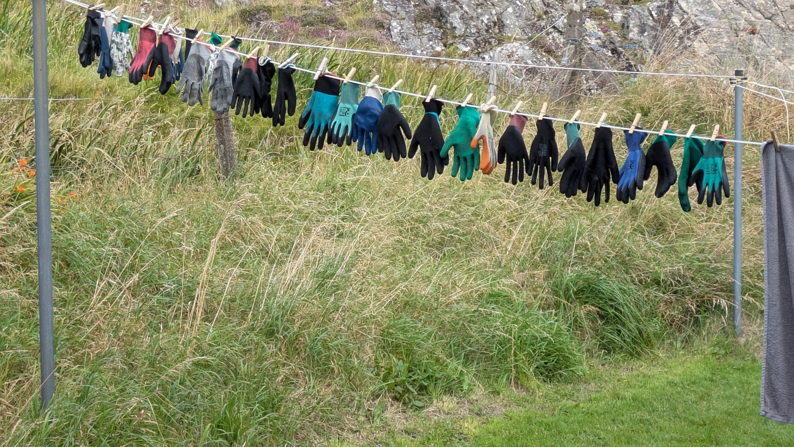 Gloves hanging on a washing line